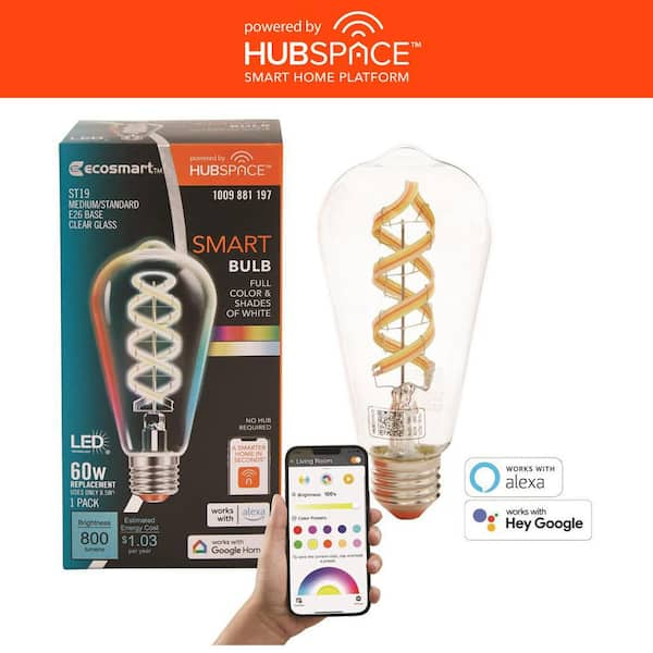 60-Watt Equivalent Smart ST19 Clear Color Changing CEC LED Light Bulb with Voice Control (1-Bulb) Powered by Hubspace