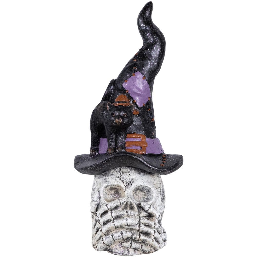 "Skull in Witch Hat with Cat Halloween Decoration-22.75""" price history on PriceWatchPro