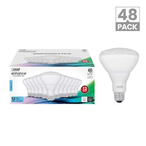65-Watt Equivalent BR30 Dimmable CEC Enhance 90+ CRI E26 Medium Base Flood LED Light Bulb, Daylight 5000K (48-Pack)
