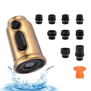 3-Function Pull Down Kitchen Faucet Spray Head Replacement with 9-Adapter Kit in Gold
