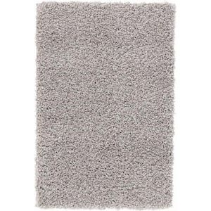 Shaggy Gray 2 ft. x 3 ft. Scatter Rug