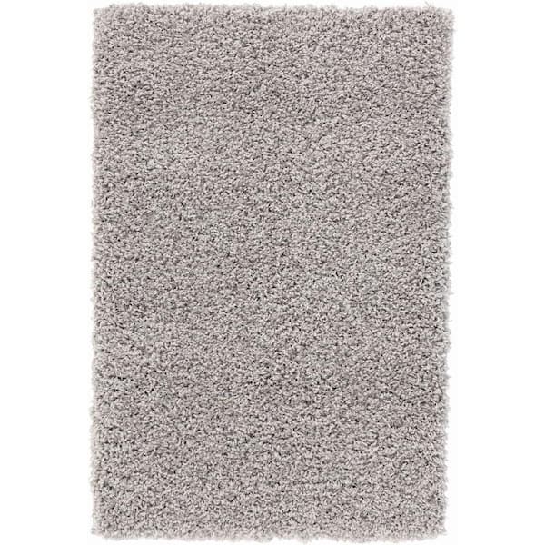 Unbranded Shaggy Gray 3 ft. x 5 ft. Area Rug