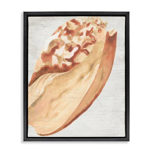 Stupell Industries Rustic Beige Shell by June Erica Vess Black Floater Frame Coastal Graphic Art Print 21 in. x 17 in.