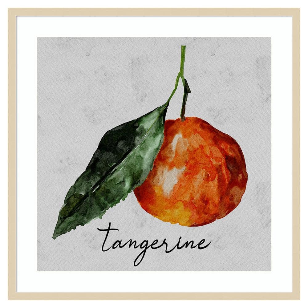 Summertime Citrus III Framed Tangerine Graphic Art Print