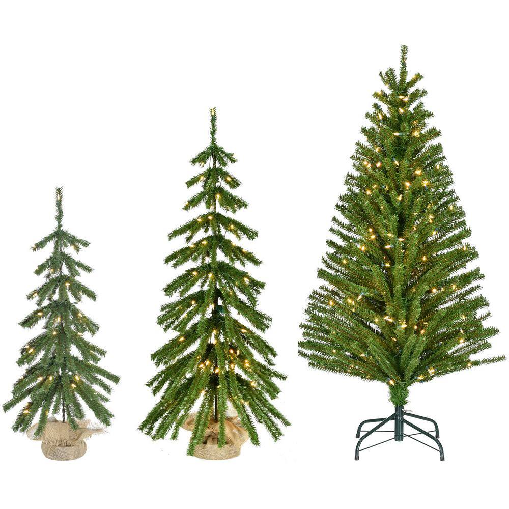 Fraser Hill Farm 3 ft., 4 ft., and 5 ft. Downswept Farmhouse Fir Prelit