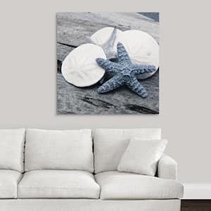 "Driftwood Shell IV" by Danita Delimont Canvas Wall Art