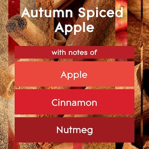 1.34 oz. Autumn Spice Apple Plug-In Air Freshener Refill (2 ct)