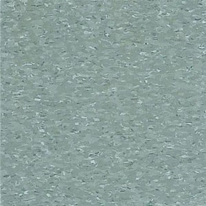 Take Home Sample - Imperial Texture VCT Silver Green Standard Excelon Commercial Vinyl Tile - 6 in. x 6 in.