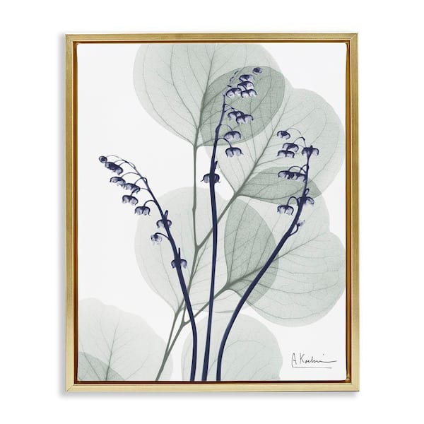 Serene Modern Eucalyptus by Albert Koetsier Gold Floater Frame Nature Graphic Art Print 31 in. x 25 in.