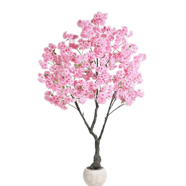 Gravee Low Maintenance Cherry Blossom Tree - 7 ft. Potted