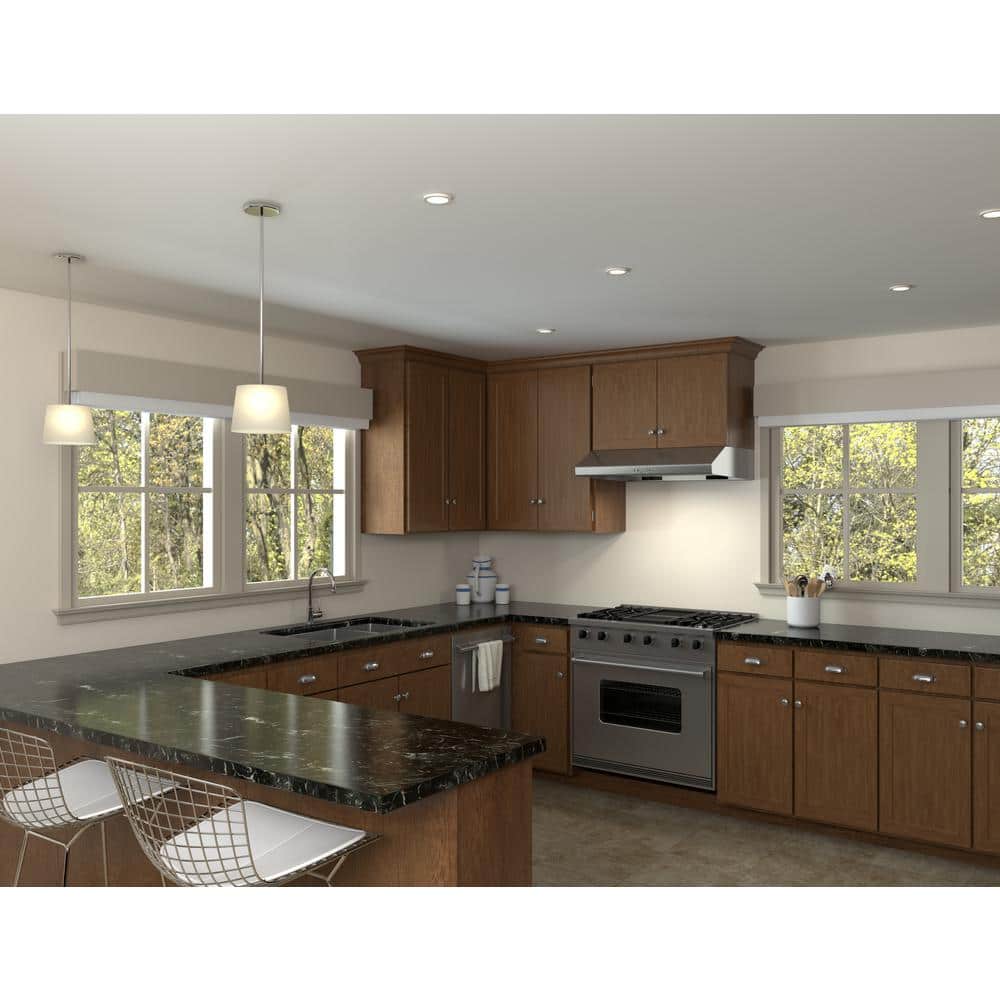 Zephyr Cyclone 42" Stainless Steel Under Cabinet Range Hood