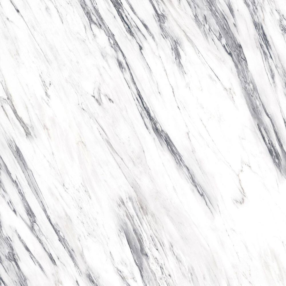 Take Home Sample-Vito Ragosa Milk 20 MIL x 12 in. W x 24 in. L Waterproof Click Lock Luxury Vinyl Plank Flooring price history on PriceWatchPro