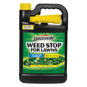 Weed Stop 1 gal. Ready-to-Use Sprayer