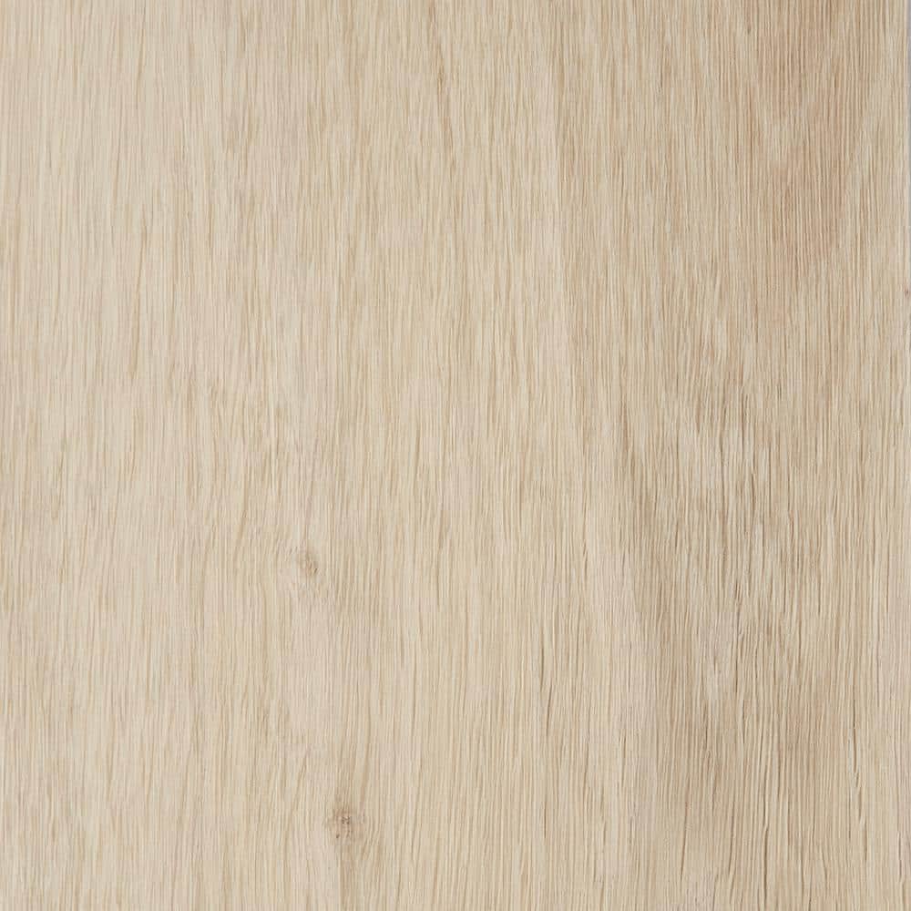 Take Home Sample- Liz Marie's Sand Tropez Beige 20-MIL x 7 in. x 8 in. Glue Down Waterproof Luxury Vinyl Plank Flooring price history on PriceWatchPro