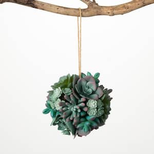 5" Hanging Succulent Mix Orb; Green