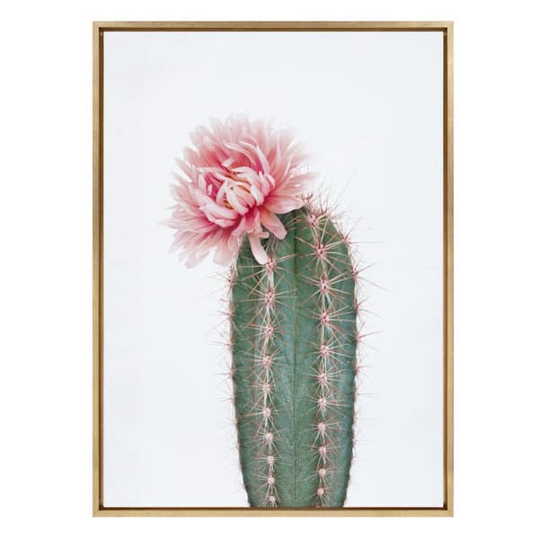Kate and Laurel Sylvie "Pink Cactus Flower" by Amy Peterson Framed Canvas Wall Art