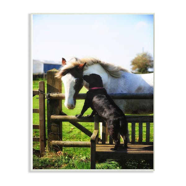 Stupell Industries 12 in. x 18 in. "Colorful Farm Horse and Dog Photo" by Villager Jim Wood Wall Art