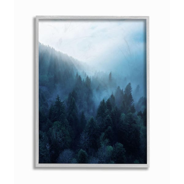 Stupell Industries "Daylight over Pine Forest Mountain with Fog" by Unsplash Framed Nature Wall Art Print 16 in. x 20 in.