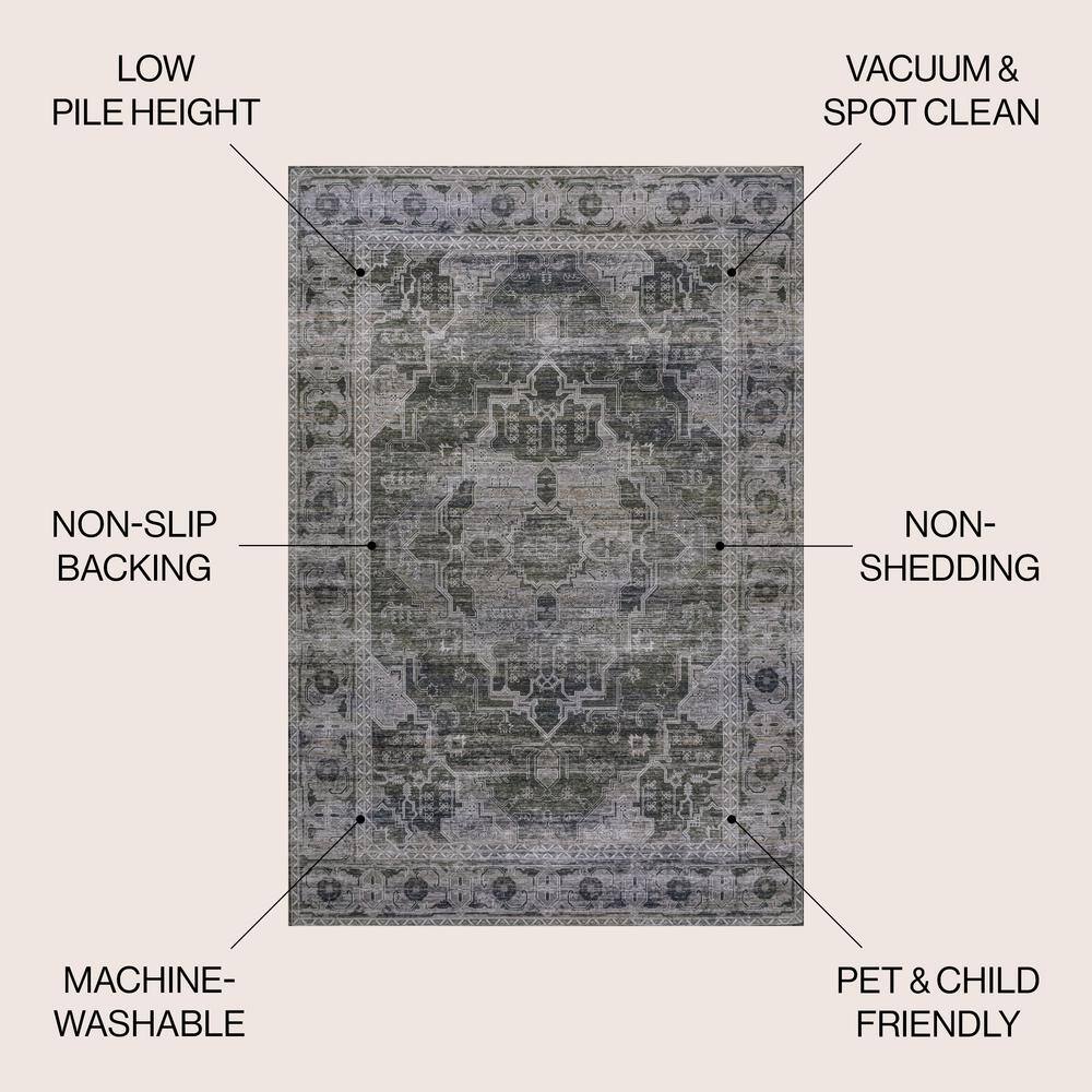 Alanya Dark Green and Gray Medallion Washable 8' x 10' Area Rug