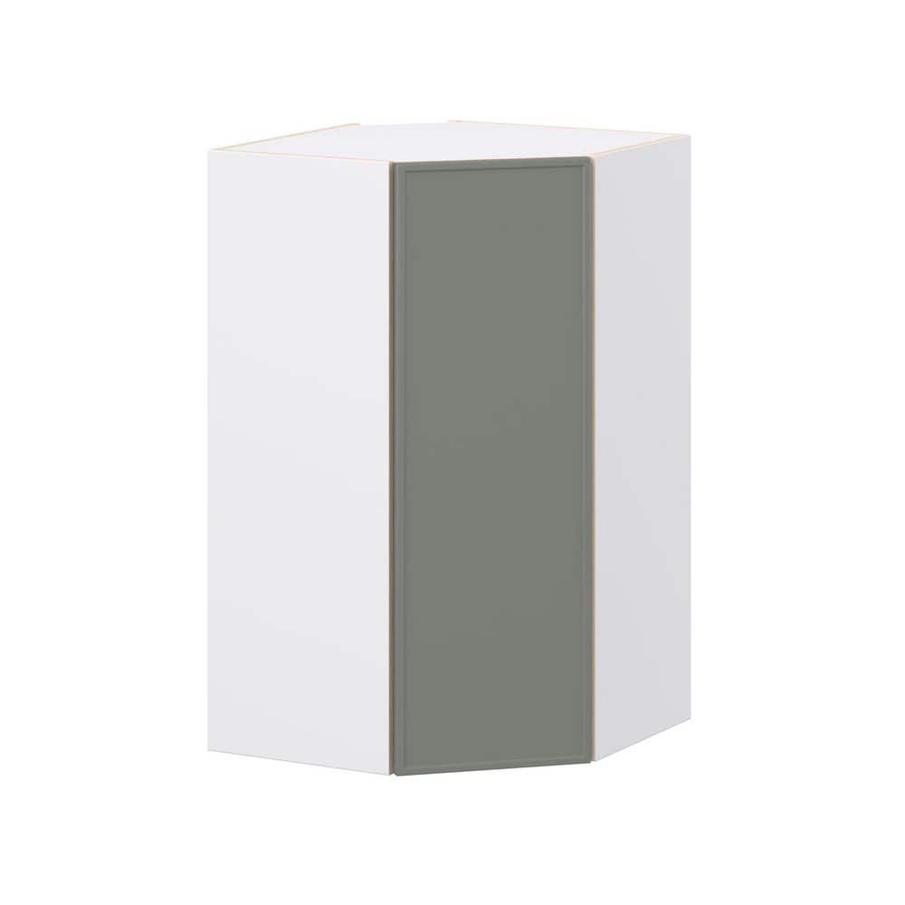 Fairview 24 in. W x 14 in. D x 40 in. H Slim Shaker Assembled Wall Diagonal Corner Kitchen Cabinet in Moss Green price history on PriceWatchPro