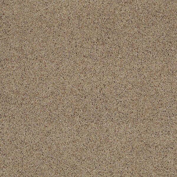 SoftSpring Carpet Sample - Unbelievable - Color Townhouse Texture 8 in. x 8 in.