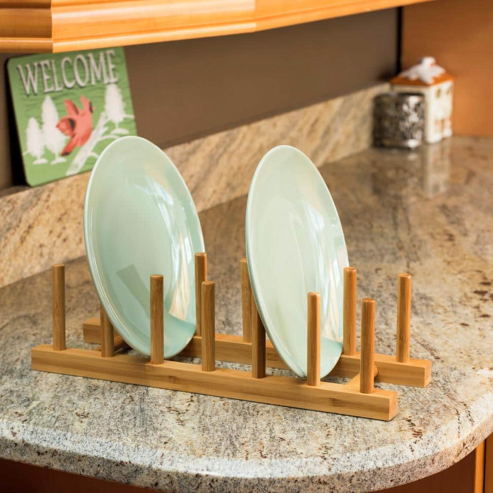 Plastic/Steel 2 Tier Dish Rack Home Basics Finish: Turquoise