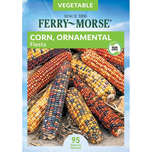 Ferry-Morse Sweet Corn Ornamental Fiesta Vegetable Seeds