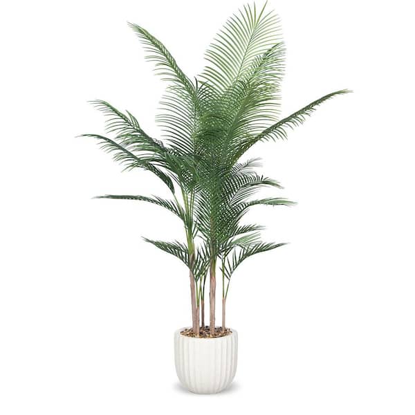 Unbranded Botanical 6 ft. Artificial Madagascar Palm in Pot