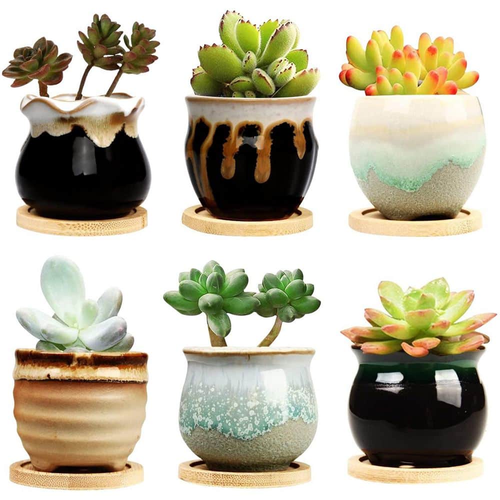 Mini Glazed Succulent Pot, 2.1 in. Mixed Colors, Ceramic, Assorted Shapes,  Flower Planter with Drainage Hole, 6-Pack price history on PriceWatchPro