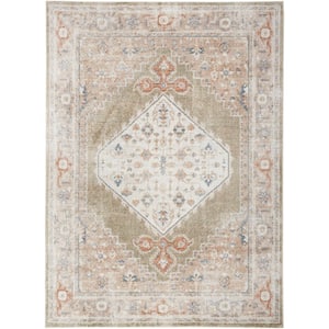 Astra Machine Washable Sage Multi 5 ft. x 7 ft. Distressed Traditional Area Rug