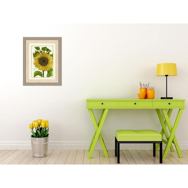 Vintage Print Gallery Sunflower Framed Archival Paper Wall Art (20