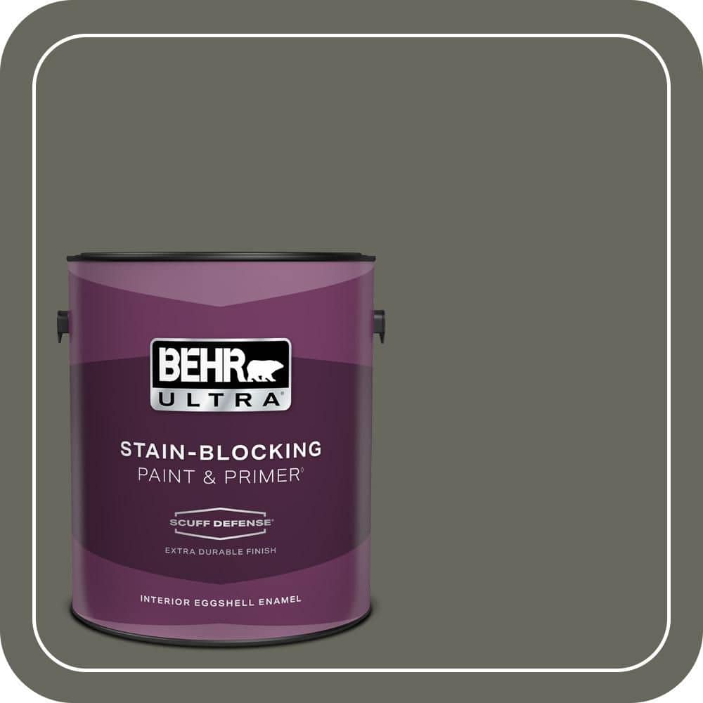 1 gal. #MQ6-19 Naturalism Extra Durable Eggshell Enamel Interior Paint & Primer price history on PriceWatchPro