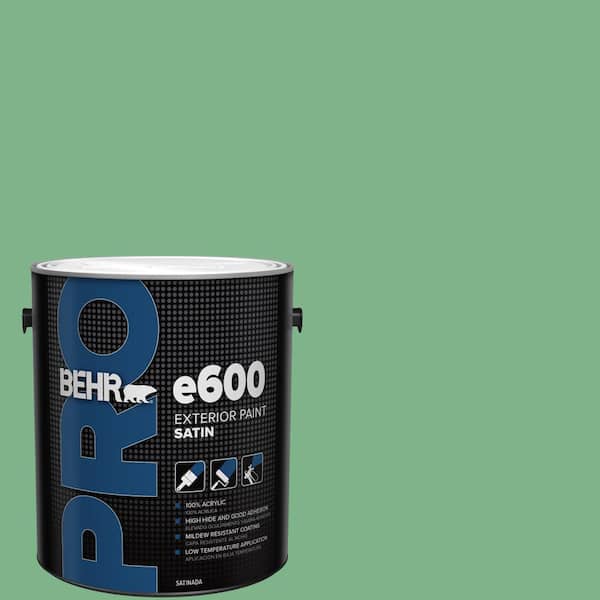 1 gal. #460D-5 Tree Fern Satin Exterior Paint