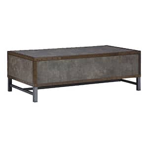 28 in. Gray and Bronze Rectangle Wood Coffee Table with Lift Top and 2-Bins