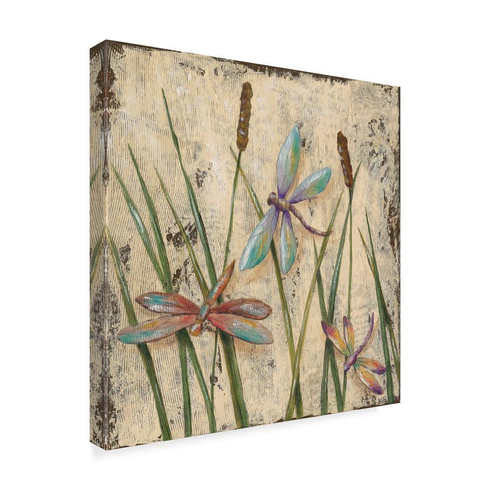 Multicolor Dragonfly Print on Canvas for Kids' Rooms