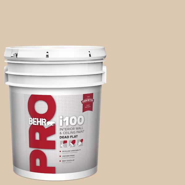 5 gal. #N270-2 Lentil Dead Flat Interior Paint