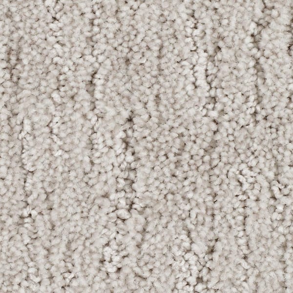 8 in. x 8 in. Texture Carpet Sample - Chester -Color Evening Eclipse