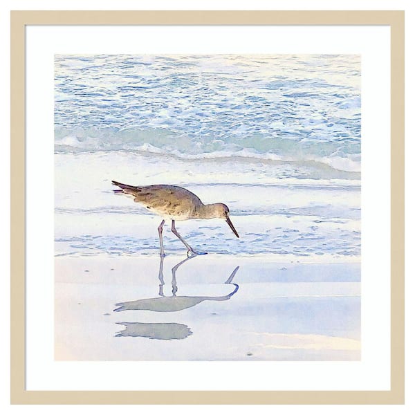 Amanti Art Sandpiper Dreams II by Christine Zalewski 25 in. W x 25 in. H. Wood Framed Wall Art Print Framed in Brown