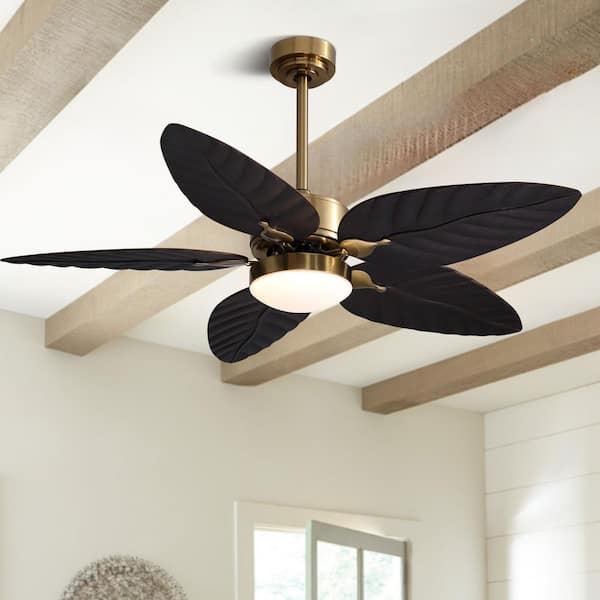52 in. Smart Indoor/Outdoor Downrod Mount Tropical Palm Blades Black and Gold Ceiling Fan Fandelier with Dimmable Led