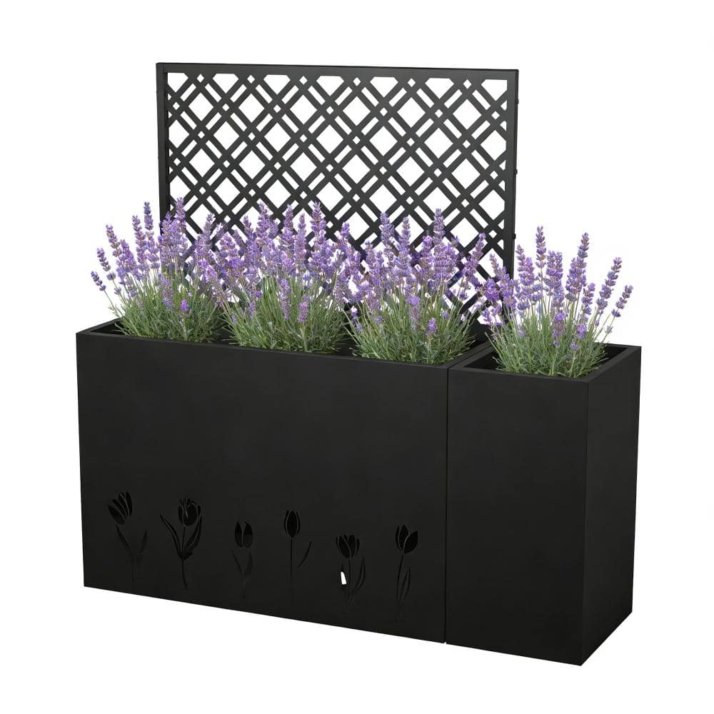 47 in. x 12 in. x 47 in. Black Metal Raised Garden Bed 2-Piece Set with Trellis and 24 in. Deep Planter Box price history on PriceWatchPro