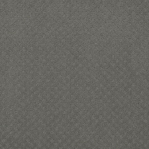 Camelia Lane - Dakota - Gray 28 oz. SD Polyester Loop Installed Carpet