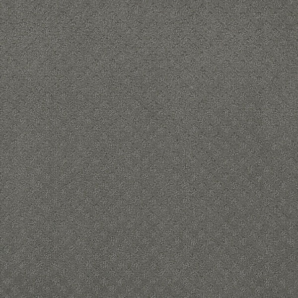 TrafficMaster Camelia Lane - Dakota - Gray 28 oz. SD Polyester Loop Installed Carpet
