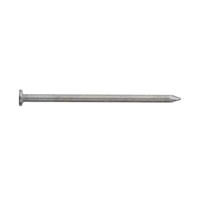 3 in. x 10D Hot Dipped Galvanized Box Nails 1 lb. (77-Count)