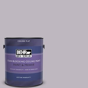 1 gal. #PPU16-09 Aster Ceiling Flat Interior Paint & Primer