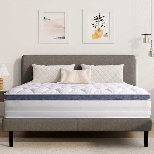 Crduf 12 in. Medium Euro Top Hybrid Queen Mattress with Individual