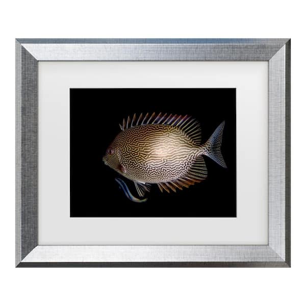 Trademark Fine Art Ilan Ben Tov Cleaning Station Matted Framed Photography Wall Art 19.5 in. x 23.5 in.