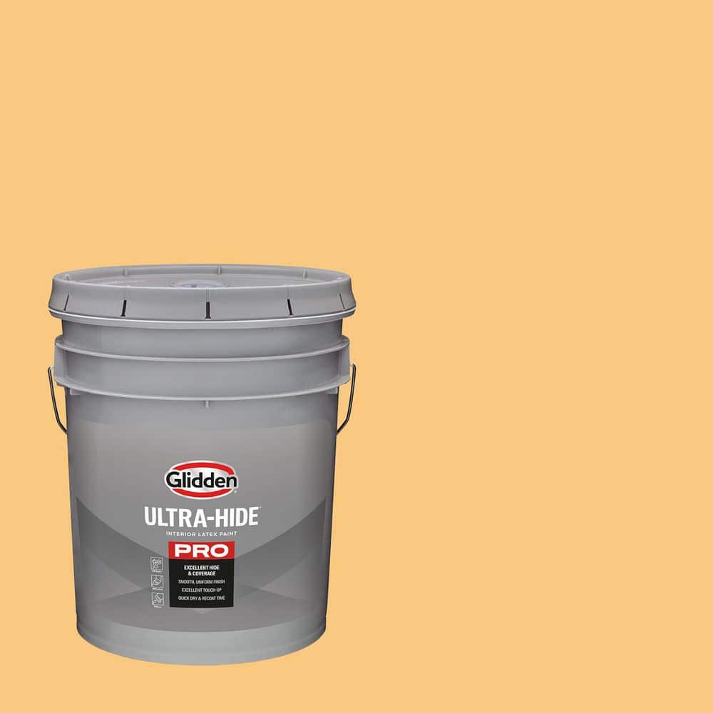 1 gal. PPG1204-5 Chunk of Cheddar Eggshell Interior Paint price history on PriceWatchPro