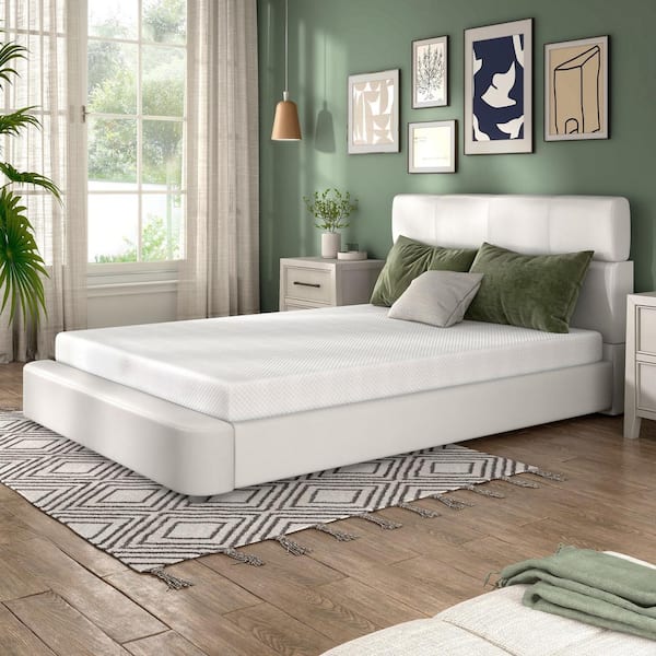 Zinnia Queen Medium Memory Foam 6 in. Bed-in-a-Box CertiPUR-US Mattress