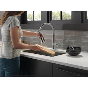 Emmeline Single-Handle Pull-Down Sprayer Kitchen Faucet with ShieldSpray in Lumicoat Arctic Stainless