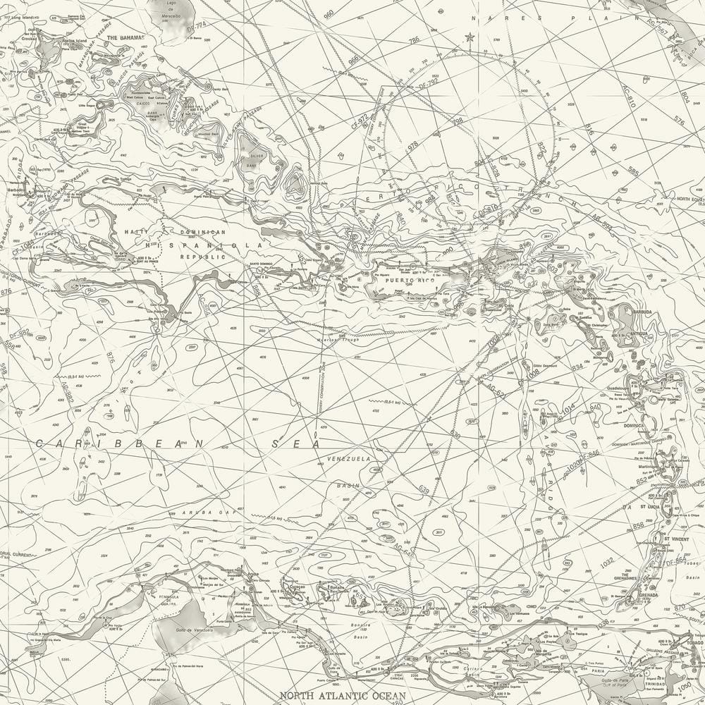 Black and White Nautical Chart Pre-Pasted Washable Wallpaper